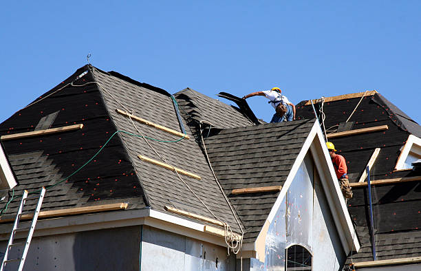 Best Roof Moss and Algae Removal  in Harrah, OK